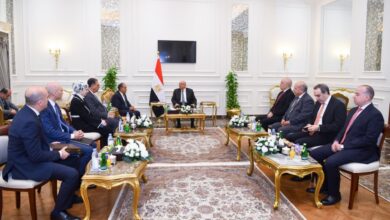 خلال لقاء عبد العاطي بشعث… مصر تجدد دعمها للجنة "إدارة غزة" وترفض تقسيم القطاع