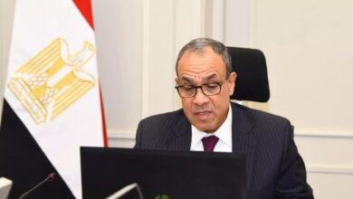 وزير الخارجية المصري: نطالب بخروج جميع القوات الأجنبية والمرتزقة من ليبيا دون استثناء 2 وزير الخارجية المصري: نطالب بخروج جميع القوات الأجنبية والمرتزقة من ليبيا دون استثناء