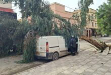 أدت إلى تعليق الدراسة وغلق المنتزهات العمومية ...الجزائر على وقع عاصفة رياح نادرة