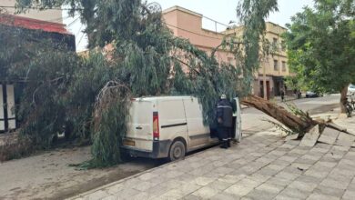 أدت إلى تعليق الدراسة وغلق المنتزهات العمومية ...الجزائر على وقع عاصفة رياح نادرة