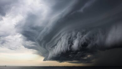 باحثون صينيون يطورون روبوتاً يعتمد على الذكاء الاصطناعي للتنبؤ بالأعاصير قبل 4 ساعات من حدوثها