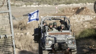 اعلام إسرائيلي: جنود يسرقون 250 رأسًا من الماعز من سوريا وينقلونها إلى الضفة