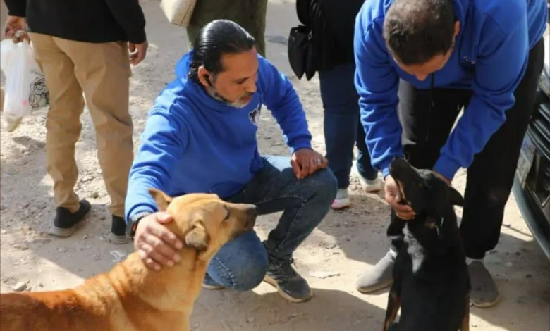 مصر تطلق حملات تحصين وتعقيم كلاب الشوارع لتعزيز الأمن الصحي
