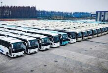 شركة صينية تشحن 3000 حافلة إلى الجزائر لتعزيز حضورها الدولي