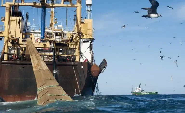 معاهدة الأمم المتحدة بشأن أعالي البحار تدخل حيز التنفيذ بحضور المغرب