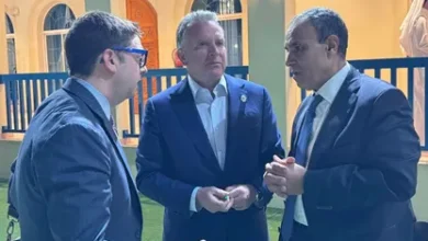 عبد العاطي وويتكوف يبحثان المرحلة الثانية من اتفاق غزة والأوضاع في إيران