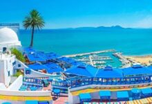 البنك المركزي التونسي: إيرادات السياحة تبلغ 2.8 مليار دولار خلال 2025 مسجلة نمواً بنسبة 6.5%