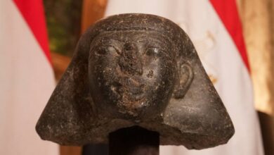 هولندا تعيد إلى مصر تمثالًا أثريًا عمره 3500 عام بعد ثبوت تهريبه