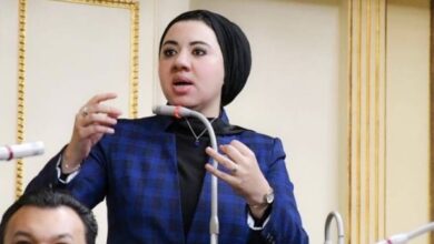 اتبرع بجلدك.. نائبة مصرية تطالب بتبرع المواطنين بجلودهم لتوفير ملايين الجنيهات للدولة