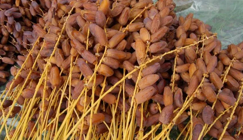 تونس تحصل على أول اعتماد روسي لتصدير التمور والزيوت البيولوجية 1 تونس تحصل على أول اعتماد روسي لتصدير التمور والزيوت البيولوجية