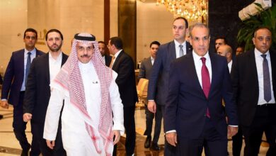 اتصال هاتفي بين وزيري خارجية مصر والسعودية لبحث العلاقات والتطورات الإقليمية