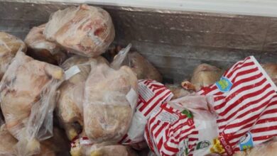 الجزائر.. مؤسسة “أوناب” تعلن تموين السوق بالدجاج المجمد بسعر 330 دج للكيلوغرام خلال رمضان