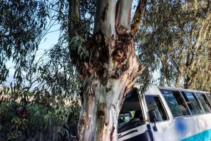 إصابة 13 شخصاً في حادث حافلة بولاية تيبازة الجزائرية 3 إصابة 13 شخصاً في حادث حافلة بولاية تيبازة الجزائرية