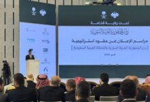 السعودية تستثمر ملياري دولار لتطوير مطاري حلب وتؤسس شركة طيران سورية مشتركة