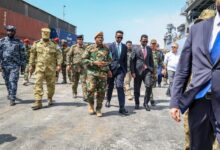 القرن الإفريقي: الصومال يستعرض قوات مصرية ويستقبل وحدات بحرية وجوية تركية