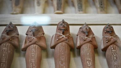 توقيف سائق بحوزته تماثيل فرعونية مقلدة للنصب على المواطنين في الجيزة بـمصر