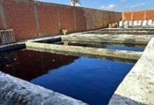 مصر - القليوبية: ضبط مصنع غير مرخص لإنتاج أسمدة مغشوشة بحوزته 210 أطنان