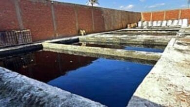 مصر - القليوبية: ضبط مصنع غير مرخص لإنتاج أسمدة مغشوشة بحوزته 210 أطنان