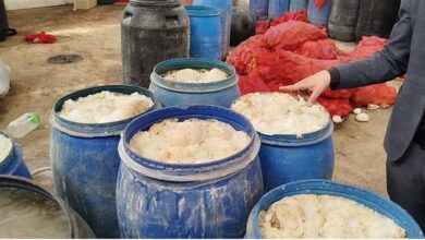 مصر.. ضبط 12 طن مخللات فاسدة داخل منشأة صناعية بالسادات