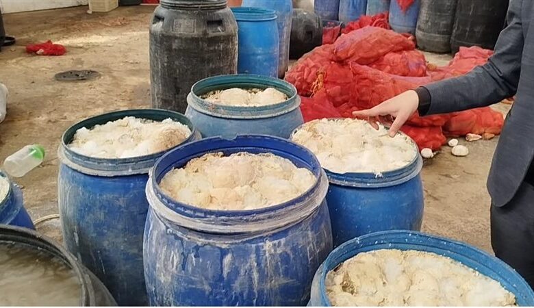 مصر.. ضبط 12 طن مخللات فاسدة داخل منشأة صناعية بالسادات 1 مصر.. ضبط 12 طن مخللات فاسدة داخل منشأة صناعية بالسادات