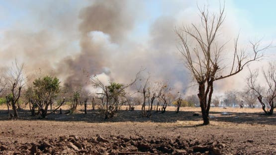 المفوضية الأوروبية تحذر من تصاعد الأزمة الإنسانية في السودان وتطالب بوقف الحرب فوراً