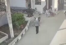 السلطات المصرية توقف موظفة بعد اعتدائها على زميلها داخل مقر العمل