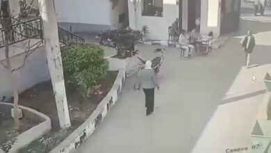 السلطات المصرية توقف موظفة بعد اعتدائها على زميلها داخل مقر العمل