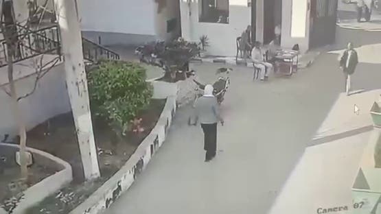 السلطات المصرية توقف موظفة بعد اعتدائها على زميلها داخل مقر العمل