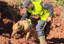 بعد 9 أيام من البحث.. العثور على جثة الطفلة المغربية هبة ببحيرة بين الويدان
