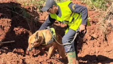 بعد 9 أيام من البحث.. العثور على جثة الطفلة المغربية هبة ببحيرة بين الويدان