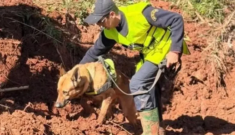 بعد 9 أيام من البحث.. العثور على جثة الطفلة المغربية هبة ببحيرة بين الويدان 1 بعد 9 أيام من البحث.. العثور على جثة الطفلة المغربية هبة ببحيرة بين الويدان