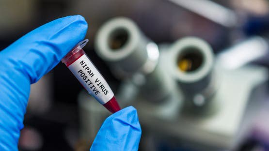 لقاح ضد فيروس نيباه يدخل التجارب البشرية لأول مرة