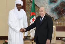 الجزائر والنيجر تعززان شراكتهما الإستراتيجية في مجالي الطاقة والأمن