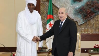 الجزائر والنيجر تعززان شراكتهما الإستراتيجية في مجالي الطاقة والأمن