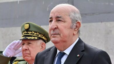 الجزائر تؤكد اعتزازها بعلاقاتها التاريخية مع مصر وتسعى لتعزيز الشراكة