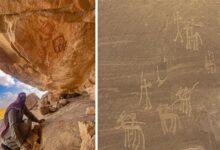 اكتشاف نقوش صخرية تعود إلى 10 آلاف عام في جنوب سيناء