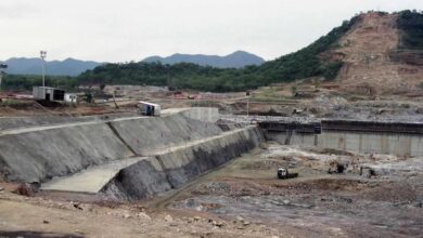 مصر وكينيا تتفقان على تعزيز التعاون في الدفاع والأمن وإدارة الموارد المائية