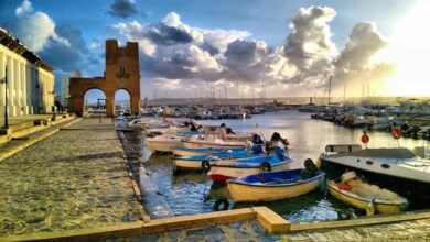 الجزائر تطلق استراتيجية سياحية جديدة لاستقطاب 8 ملايين سائح بحلول 2029 2 الجزائر تطلق استراتيجية سياحية جديدة لاستقطاب 8 ملايين سائح بحلول 2029