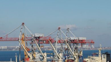 مصر تستقبل شحنة ضخمة من القمح الروسي 4 مصر تستقبل شحنة ضخمة من القمح الروسي