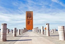 المغرب يتصدر إفريقيا في أمان الأعمال وفق تقرير Allianz Trade لعام 2025