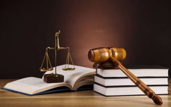 السجن 8 سنوات لفتاة أدينت بالوساطة في بيع الأعضاء بين تونس وتركيا 1 السجن 8 سنوات لفتاة أدينت بالوساطة في بيع الأعضاء بين تونس وتركيا