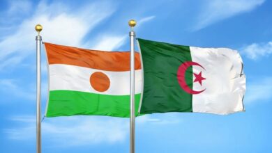 الجزائر والنيجر تعيدان تفعيل الاتفاق الثنائي في الكهرباء