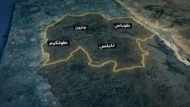 بيان مشترك لـ8 دول عربية وإسلامية يدين قرارات إسرائيل في الضفة الغربية