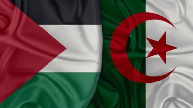 فرنسا تغرّم قناة «سي نيوز» بسبب محتوى تمييزي ضد الجزائريين والفلسطينيين