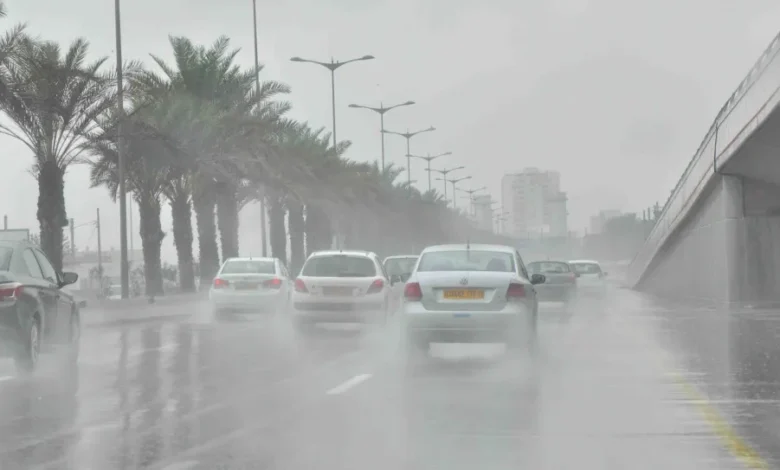 رياح عاتية تضرب الجزائر: نشرات تحذيرية تشمل عدة ولايات