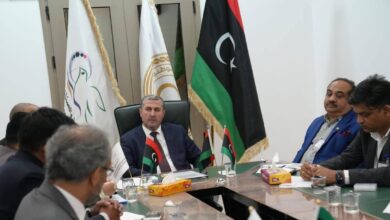 ليبيا والهند تبحثان تعزيز التعاون الاقتصادي والاستثماري