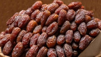 جمعية فرنسية تدعو لمقاطعة تمور إسرائيلية خلال رمضان 2 جمعية فرنسية تدعو لمقاطعة تمور إسرائيلية خلال رمضان