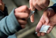 تونس:تفكيك شبكة لترويج المخدرات بولاية نابل وحجز أموال ومواد محظورة