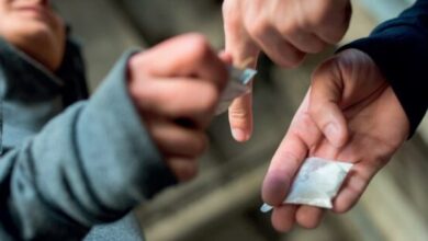 تونس:تفكيك شبكة لترويج المخدرات بولاية نابل وحجز أموال ومواد محظورة