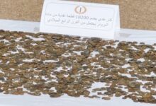 الجزائر.. حجز أكثر من 10 آلاف قطعة نقدية رومانية في عملية أمنية بعين الدفلى